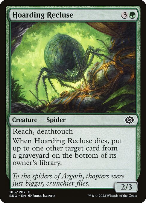 Hoarding Recluse